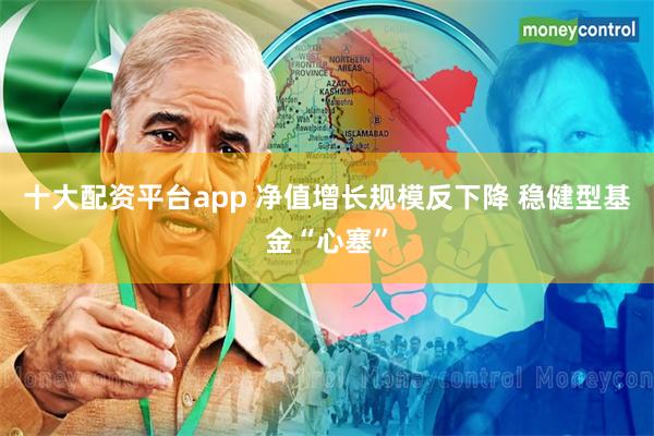 十大配资平台app 净值增长规模反下降 稳健型基金“心塞”